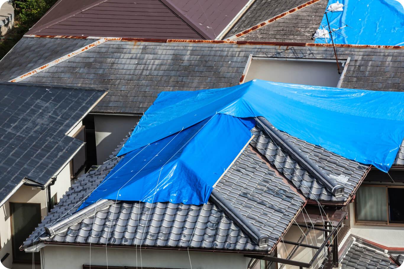 specjalistyczne naprawy dachowe